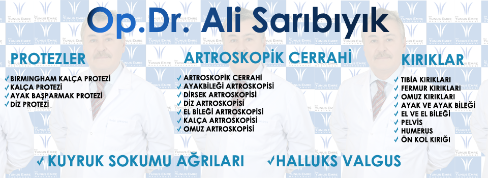 Özgeçmiş